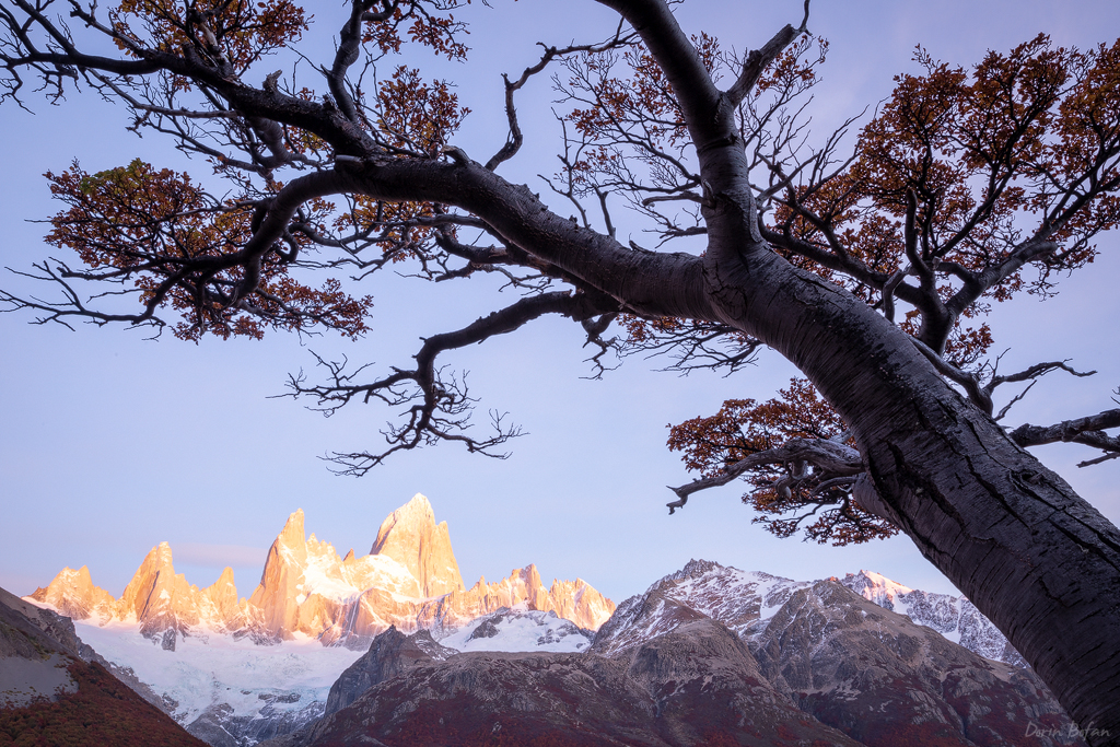 patagonia