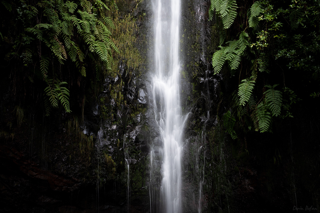 madeira