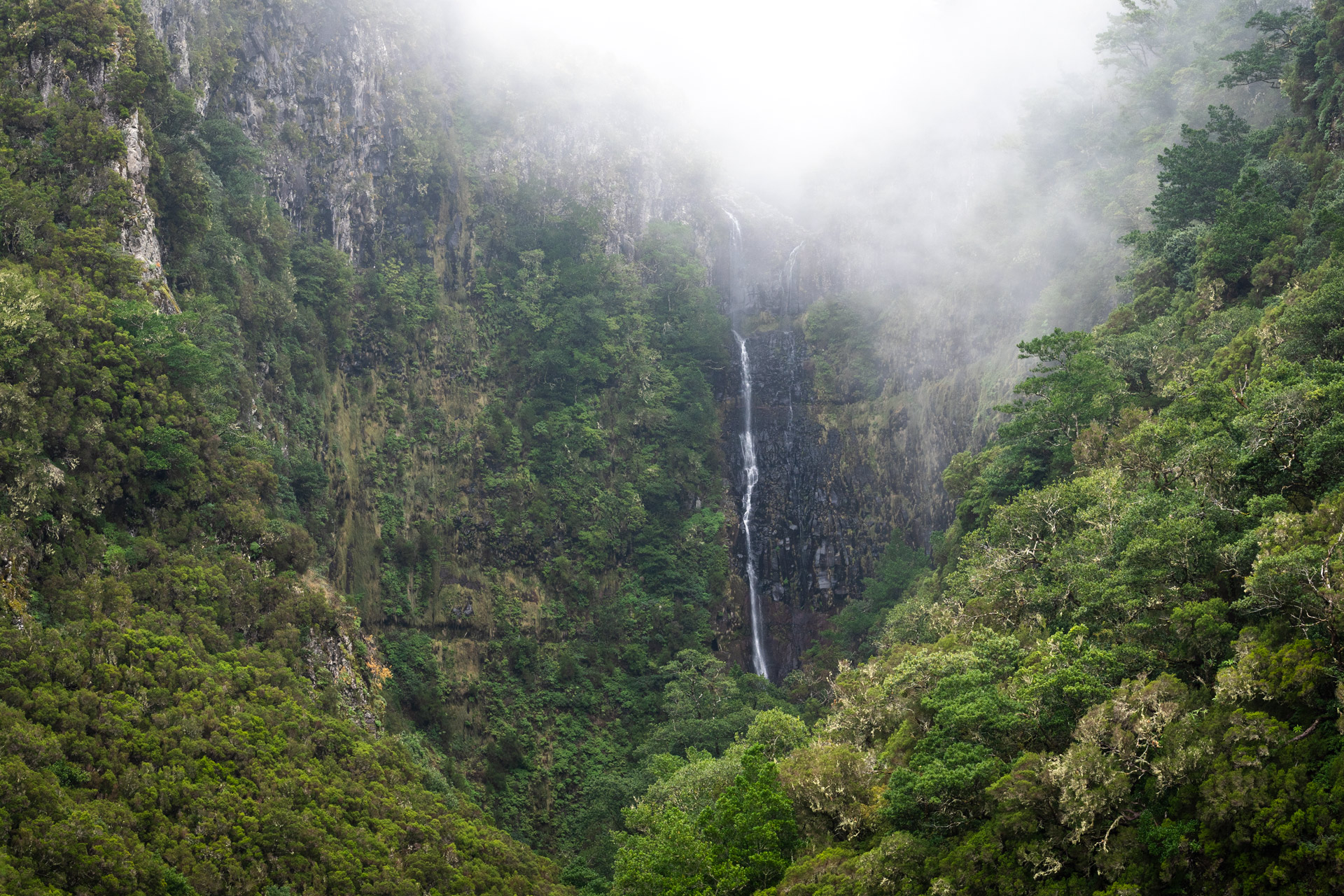 madeira
